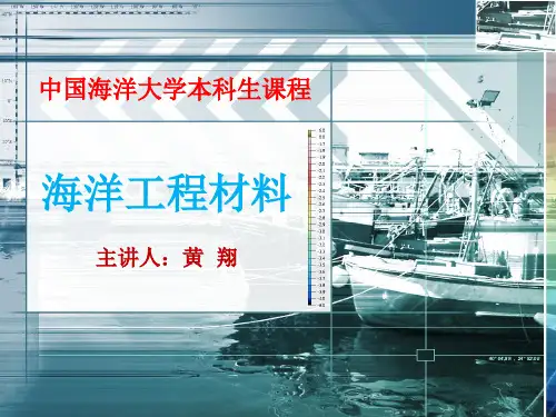第二章 金属电化学腐蚀原理ppt课件