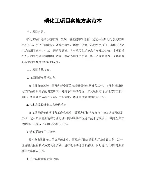磷化工项目实施方案范本
