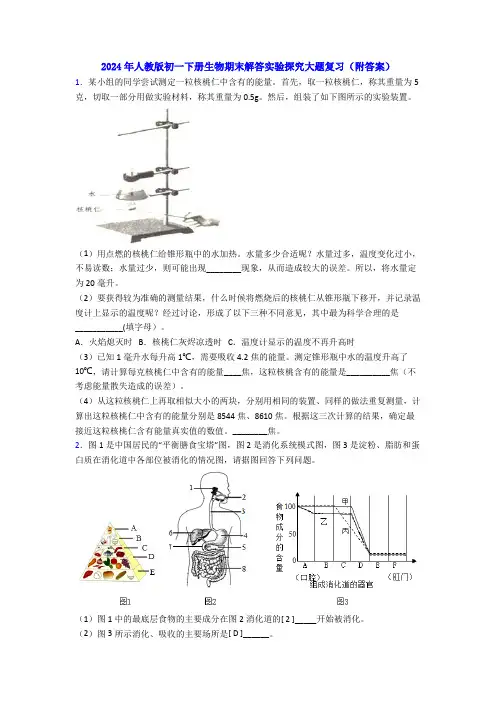 2024年人教版初一下册生物期末解答实验探究大题复习附答案