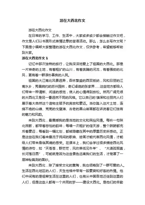 游在大西北作文