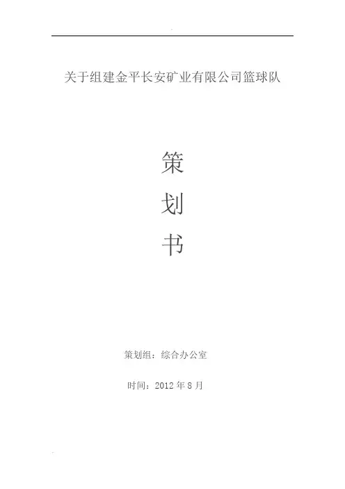 篮球队成立策划书