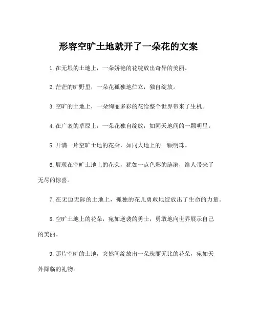 形容空旷土地就开了一朵花的文案