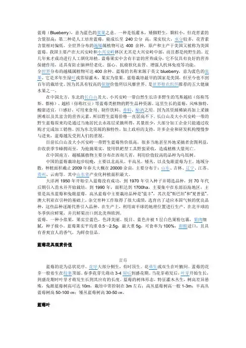 蓝莓