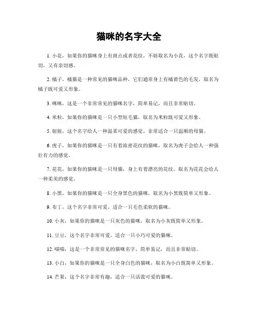猫咪的名字大全