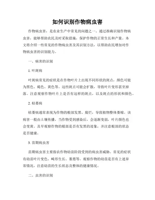 如何识别作物病虫害