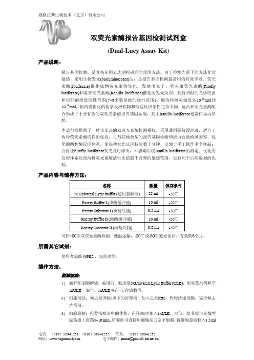 双荧光素酶报告基因检测试剂盒