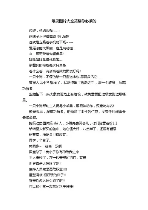 爆笑图片大全笑翻你必须的