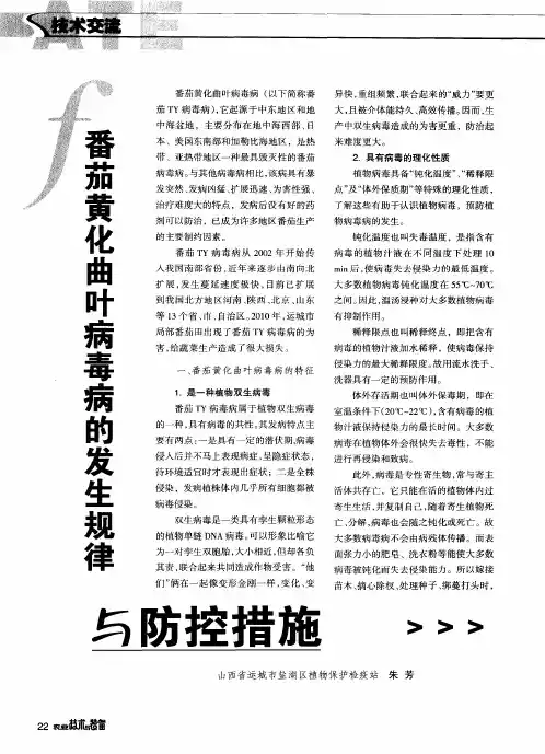 番茄黄化曲叶病毒病的发生规律与防控措施