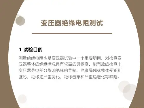 变压器绝缘电阻测试