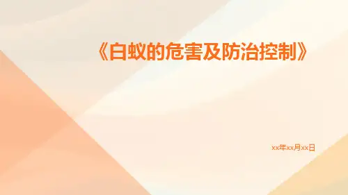 白蚁的危害及防治控制