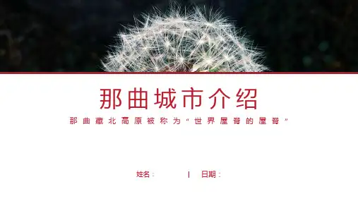 那曲介绍-那曲简介PPT(经典版)