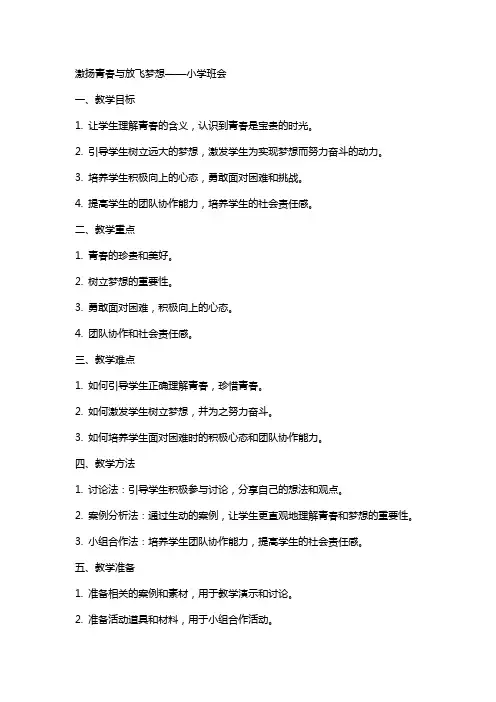 激扬青春与放飞梦想 教案 小学班会