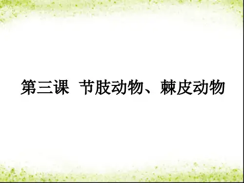 节肢动物