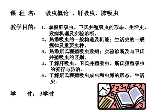 吸虫概论,肝吸虫,姜片虫,肺吸虫 毛樱瑜