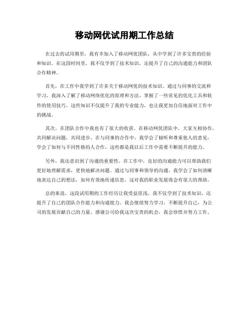 移动网优试用期工作总结