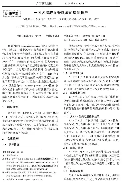 一例犬脾脏血管肉瘤的病例报告