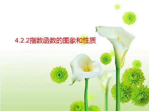 人教版高中数学新教材必修第一册课件：4.2.2指数函数的图象和性质1 (共25张PPT)