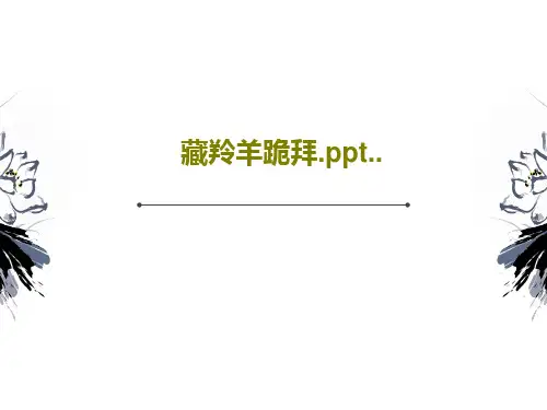 藏羚羊跪拜.ppt..24页PPT