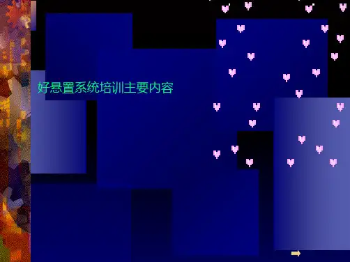好悬置系统培训主要内容