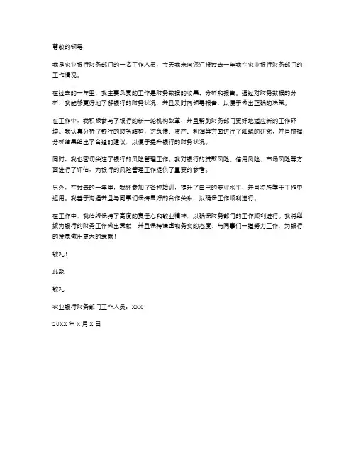 农业银行财务个人述职报告