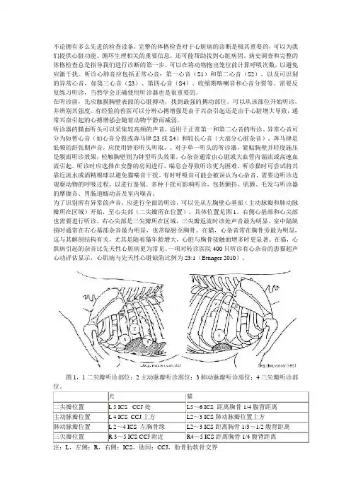 犬猫心音听诊-心脏杂音与奔马律