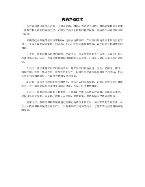 肉鸽养殖技术