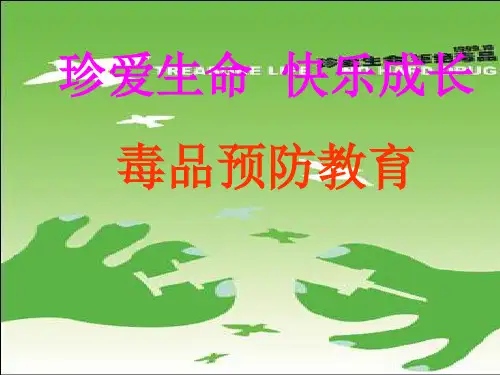 小学生毒品预防教育课件ppt