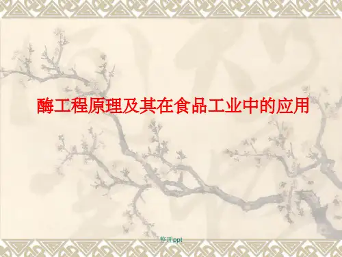 酶工程原理及其在食品工业中的应用