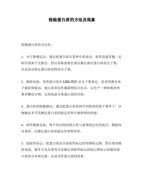 检验蛋白质的方法及现象