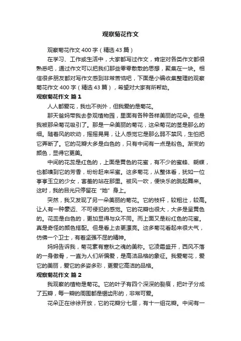 观察菊花作文