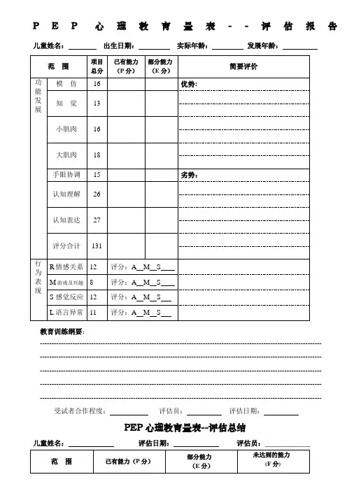 PEP孤独症儿童心理教育量表评估报告