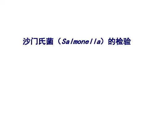沙门菌的检验技术ppt课件