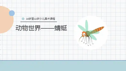 《蜻蜓》少儿马克笔美术PPT课件