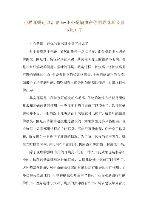 小猫耳螨可以治愈吗-小心是螨虫在你的猫咪耳朵里下崽儿了