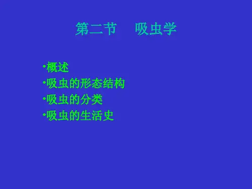 动物医学课件：吸虫学