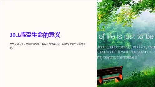 10.1感受生命的意义(教案)-2022-2023学年七年级道德与法治上册配套课件 导学案 教案(部
