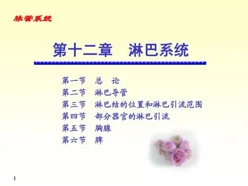 11淋巴系统《人体解剖学》《正常人体结构》课件