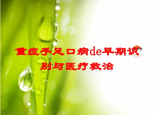 重症手足口病的早期识别与医疗救治培训课件