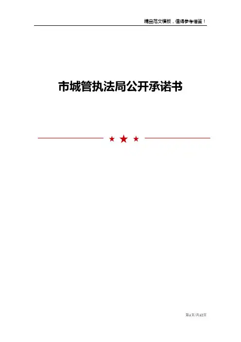 市城管执法局公开承诺书