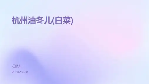 杭州油冬儿(白菜)