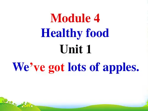 新外研版七年级英语上册Module4 Unit1 课件(共23张PPT)