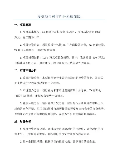 投资项目可行性分析精简版