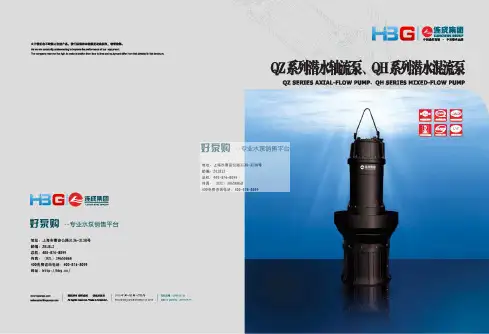 QZQH潜水轴流(混流)泵