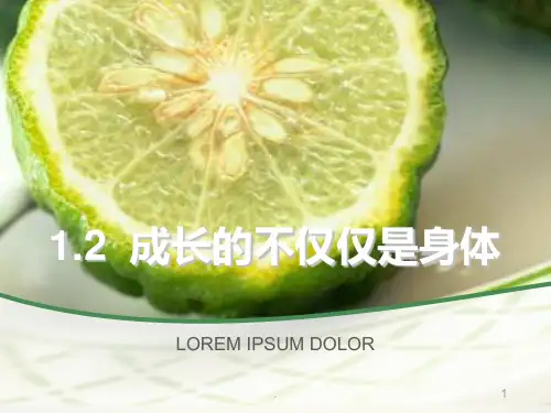 成长的不仅仅是身体PPT课件