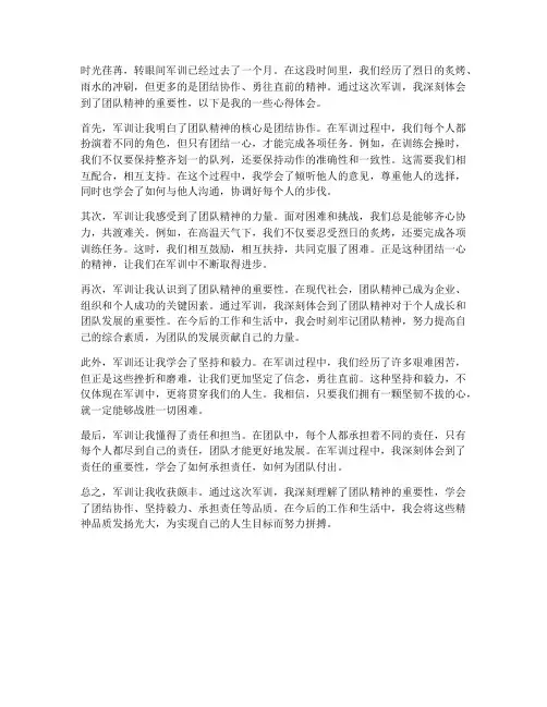 军训团队的精神心得体会