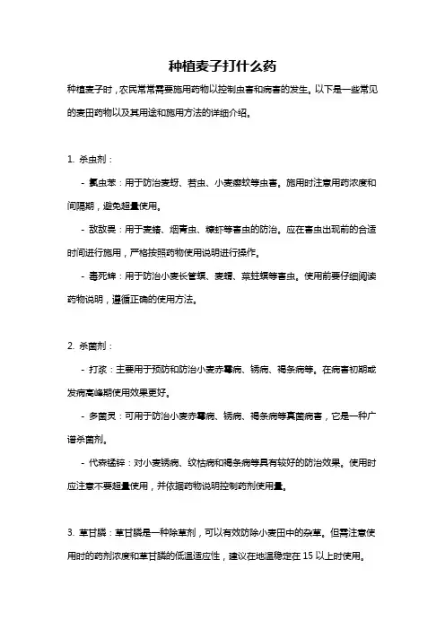 种植麦子打什么药