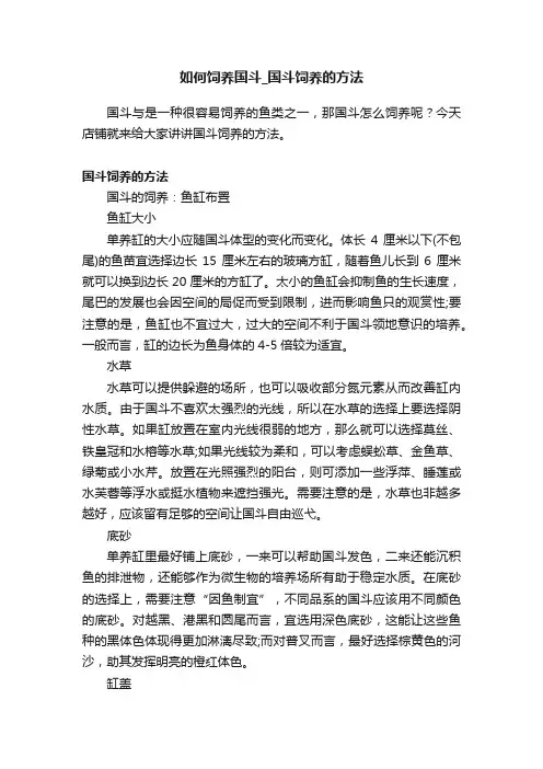 如何饲养国斗_国斗饲养的方法