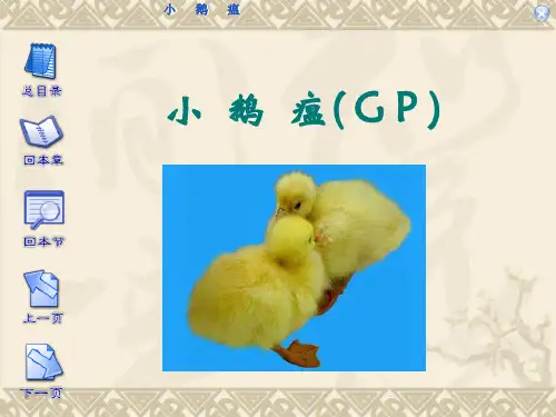 01小鹅瘟