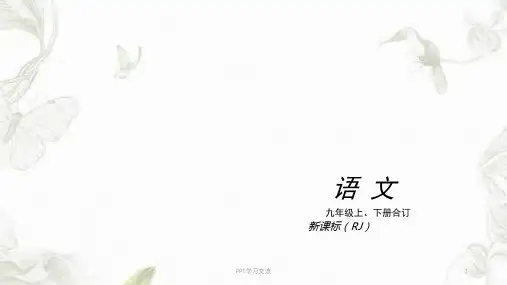 (人教版)九年级语文复习课件