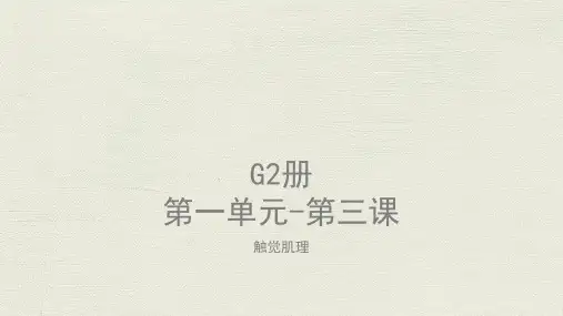 美术教案课件—G2-U1-L3触觉肌理